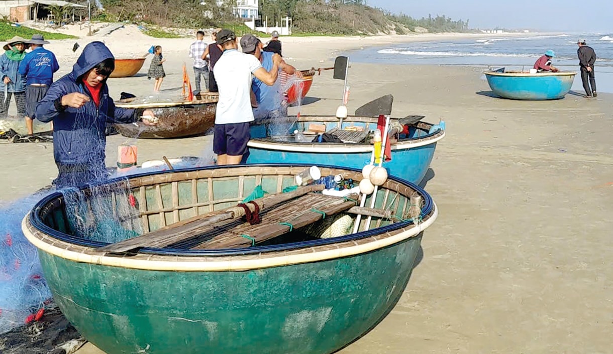 Thách thức bảo tồn biển Tam Hải