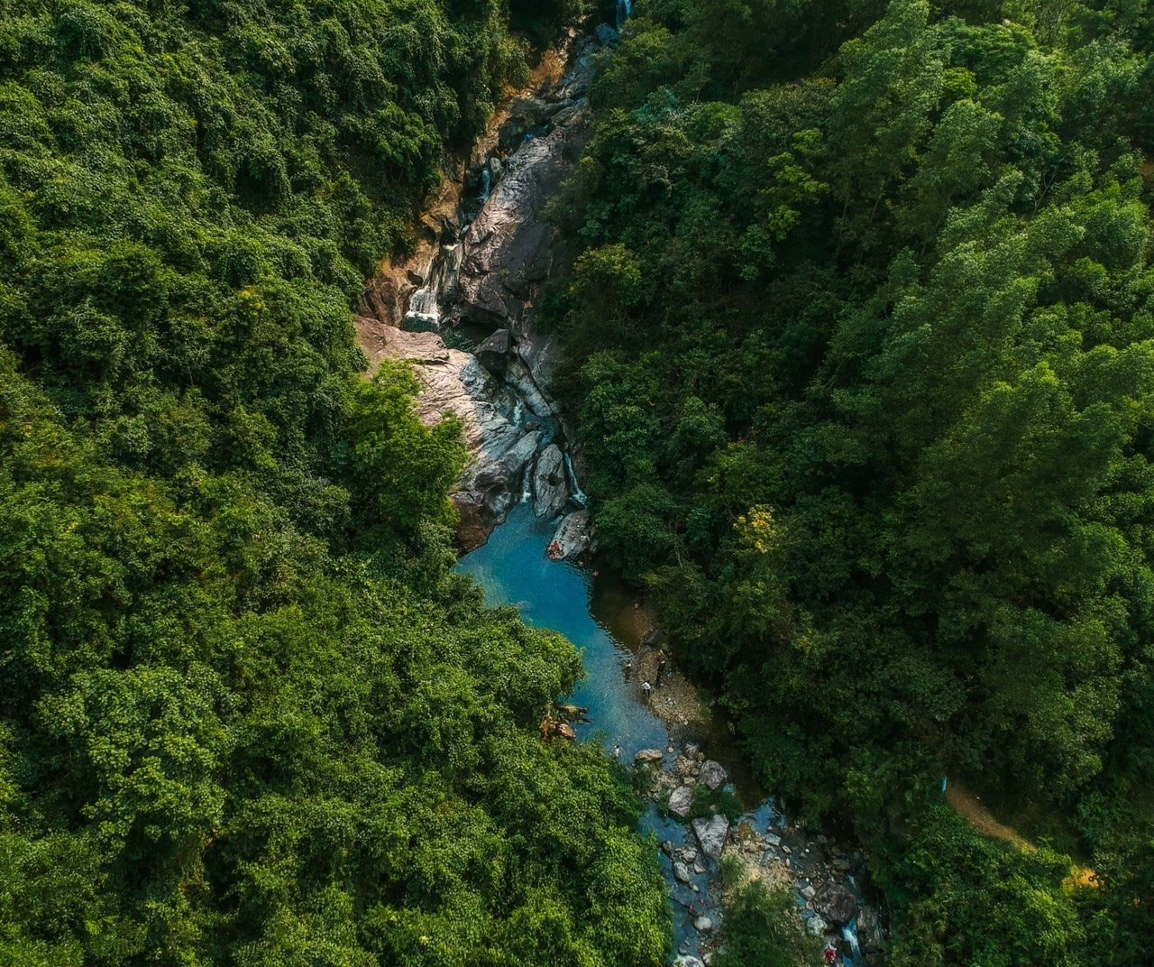 z5381631454044_a16a3c2dd8b45183fa4040219115d027