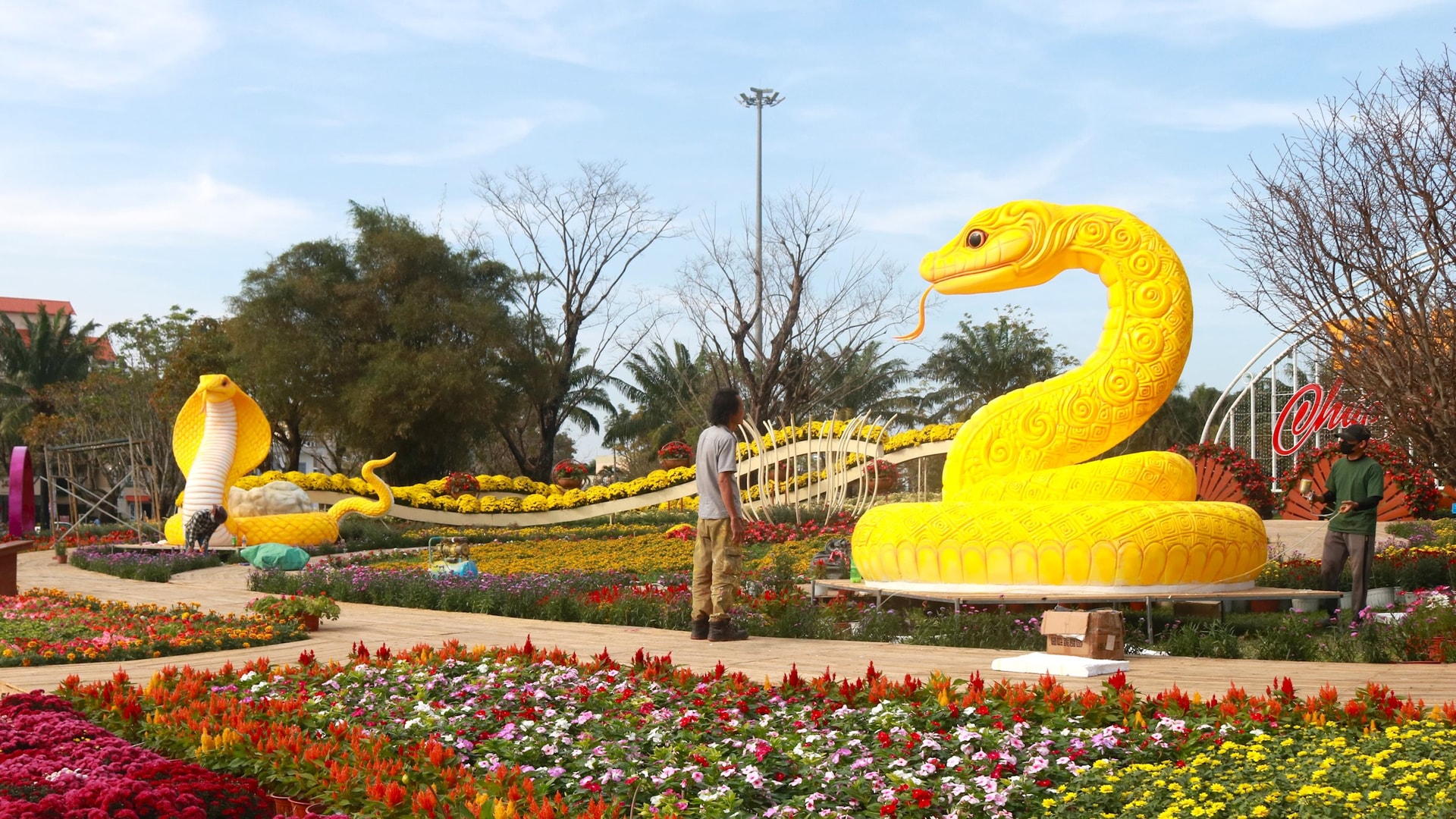 Lộ diện linh vật rắn Quảng Nam
