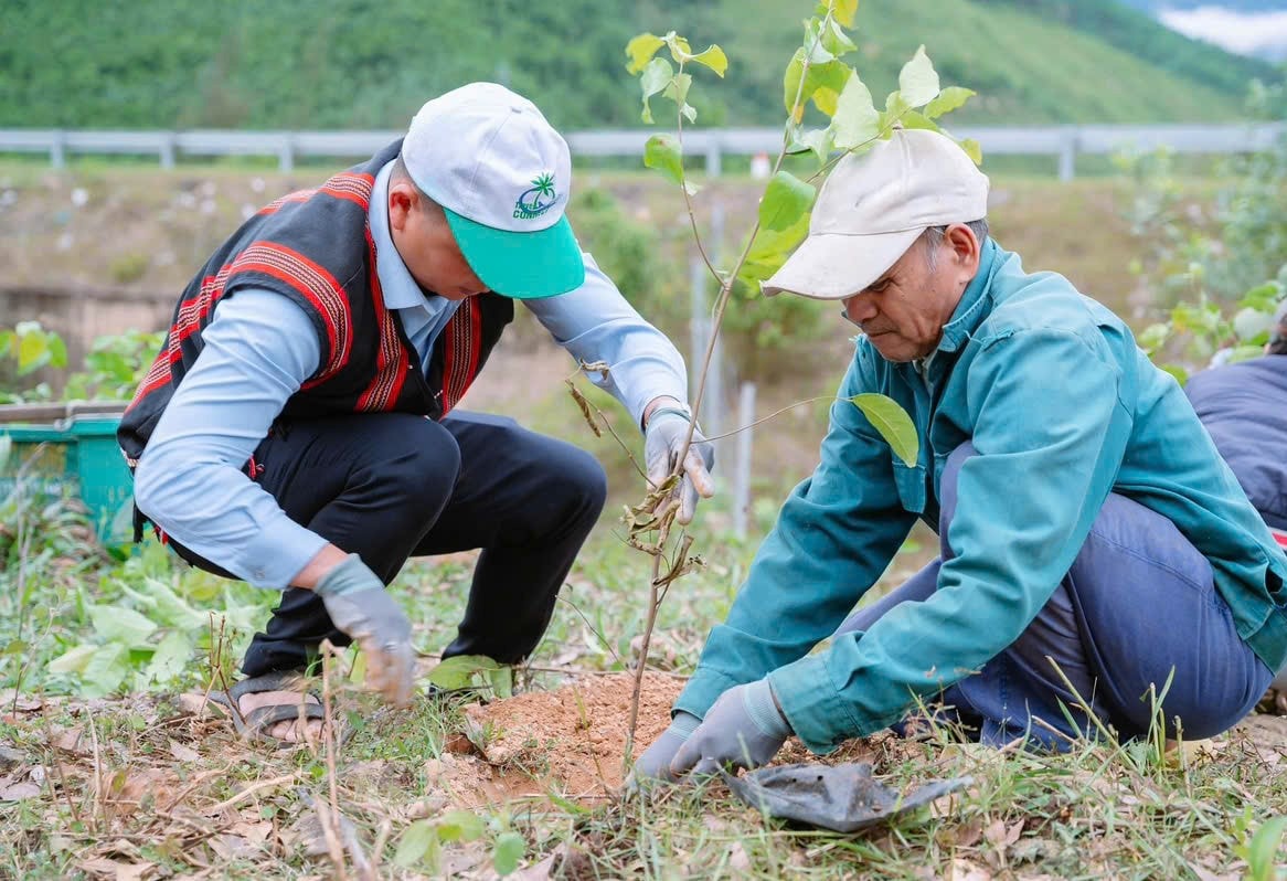 0d6b1399d7ee68b031ff