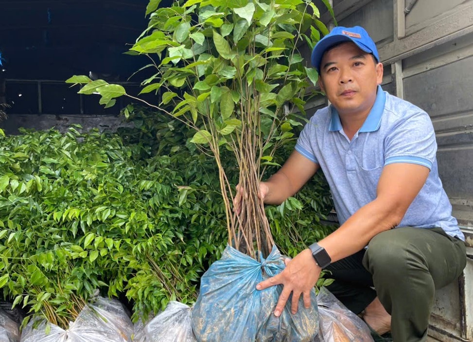 e7677883bcf403aa5ae5