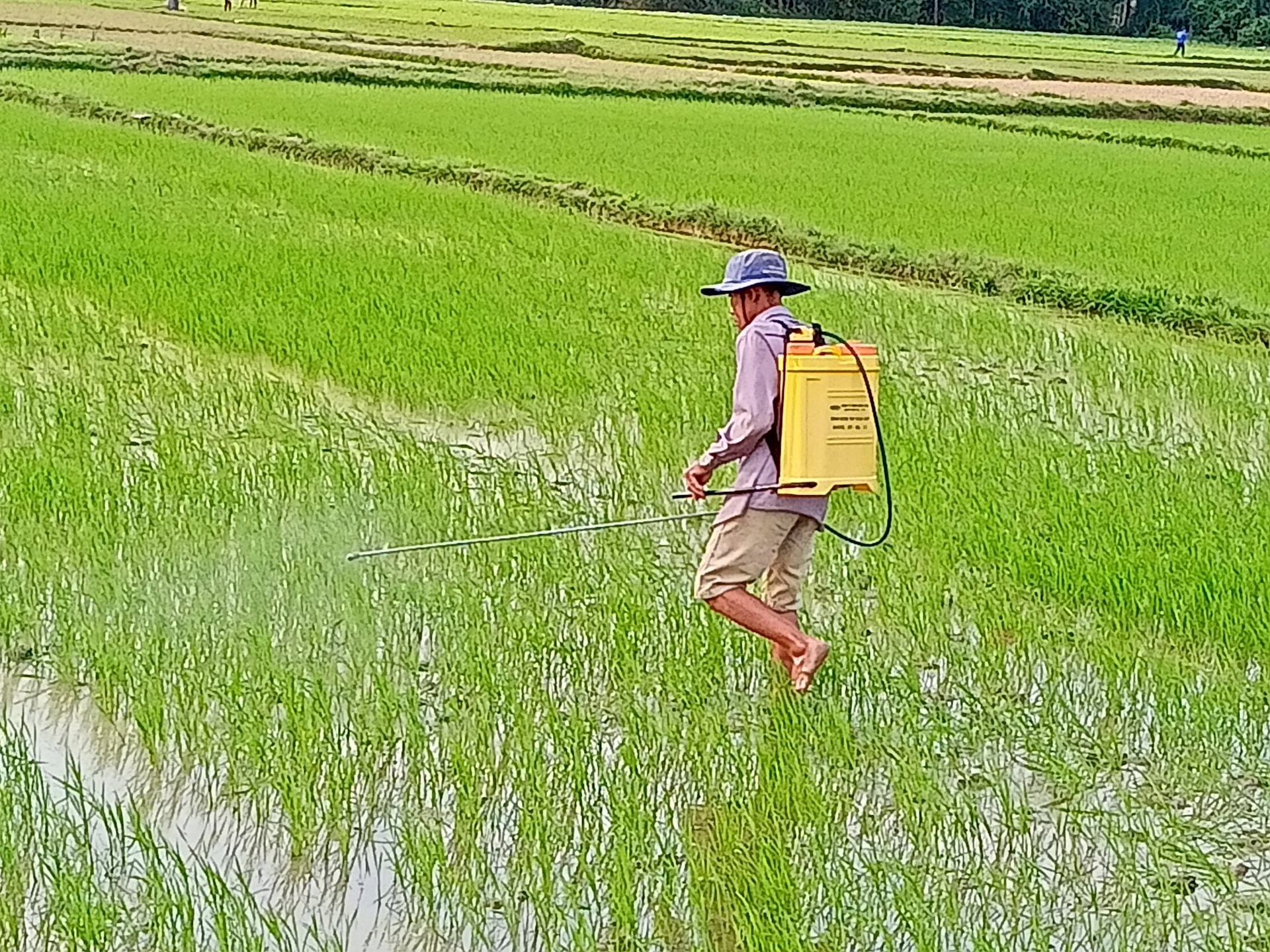 anh-ra-quan-phong-tru-sau-benh-bao-ve-lua-anh-van-phin