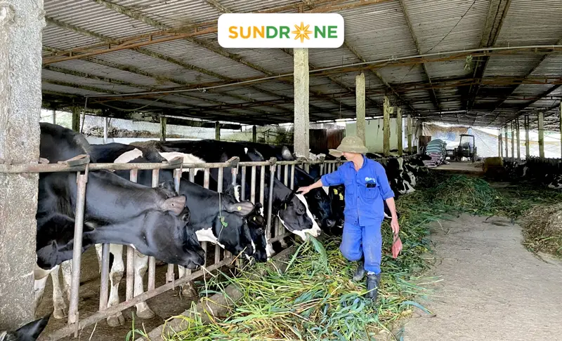 3 Mô Hình Nông Nghiệp Bền Vững Mang Lại Hiệu Quả Kinh Tế Cao