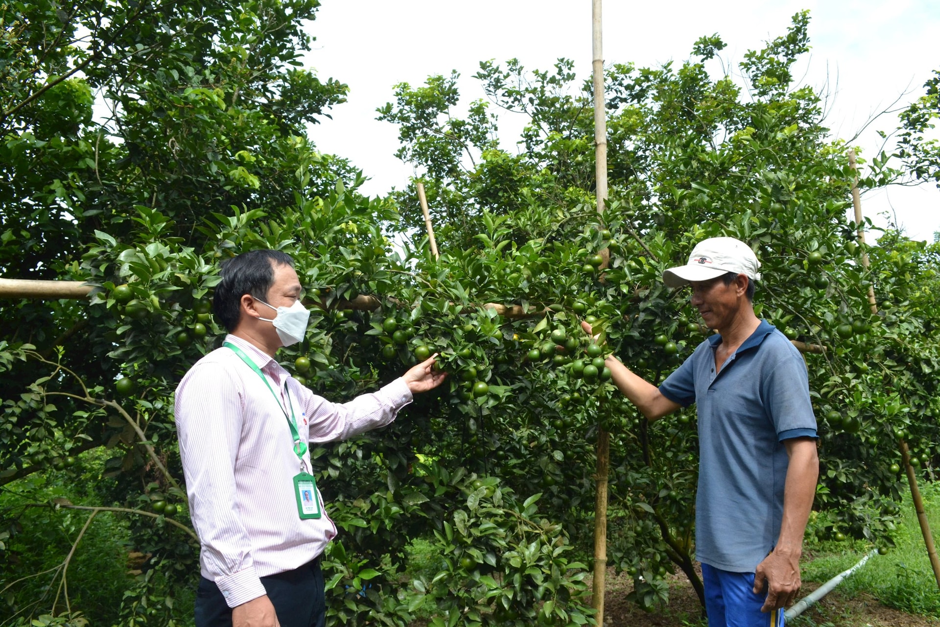 Núi Thành phân bổ 13,2 tỷ đồng hỗ trợ vốn vay tín dụng chính sách xã hội